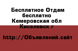 Бесплатное Отдам бесплатно. Кемеровская обл.,Киселевск г.